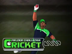 遊戲Cricket Fielder Challenge在線