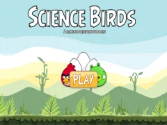 遊戲Science Birds在線