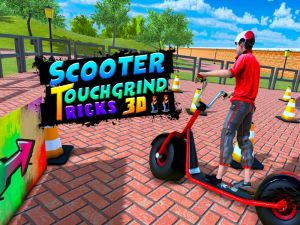 遊戲踏板車TouchGrind Tricks 3D在線