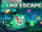遊戲Lab Escape在線