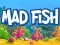 遊戲Mad Fish在線