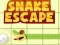 遊戲Snake escape在線
