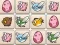 遊戲Dragon Evolution在線