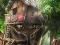 遊戲Hidden Treehouse在線