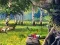 遊戲Scout Camp在線