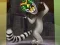遊戲King Julien: Trommel-Tanz在線