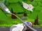 遊戲Monte's Zott: Flight on a spoon在線