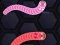 遊戲Angry Worms在線