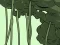遊戲Abandoned the Forest在線
