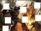 遊戲Transformers 3 image puzzles在線