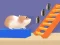 遊戲Hamster Stack Maze在線