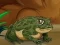 遊戲Frogs Matching在線