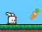 遊戲Bouncing Bunny在線
