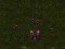 遊戲Starcraft 3在線