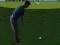 遊戲Flash Golf 3D在線