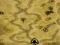 遊戲Gemcraft Chapter Zero在線