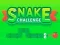 遊戲Snake Challenge在線
