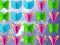 遊戲Butterfly Collector在線