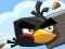 遊戲Crazy Birds在線