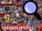 遊戲Hidden Spots In The Room在線