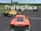 遊戲Training Race在線