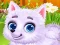 遊戲Newborn Puppy Dog Salon在線