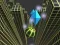 遊戲Marble Rolling Stunt在線