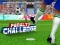 遊戲Penalty Challenge在線
