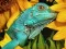 遊戲Ultimate Puzzles Animals 6在線