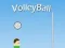 遊戲VolleyBall在線