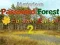 遊戲Mysterious Password Forest Autumn Edition 2在線