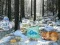 遊戲Winter Wonderland Forest Adventure在線