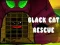 遊戲Black Cat Rescue在線