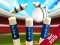 遊戲Mini Cricket: Ground Championship World Cup 2019在線