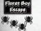 遊戲Floret Boy Escape在線