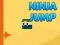 遊戲Ninja Jump在線