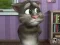遊戲Talking Tom Cat 2在線