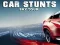 遊戲Car Stunts Sky Tour在線