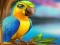 遊戲Little Parrot Escape在線