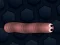 遊戲Math Slither在線