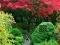 遊戲Maple Leaf Garden Escape在線