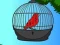 遊戲Red Bird Rescue在線