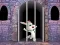遊戲Victory Rabbit Escape在線
