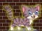 遊戲Loveable Small Cat Escape在線