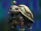 遊戲Isolated Turtle Escape在線