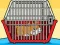 遊戲Rescue The Hamster From Cage在線