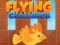 遊戲Flying Challenge在線