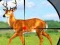 遊戲Wild Hunt Hunting Games 3D在線