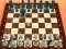 遊戲Chess Master 3D在線