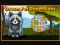 遊戲Dream Pet Dimensions在線